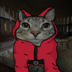 PLAY SALMON GAME