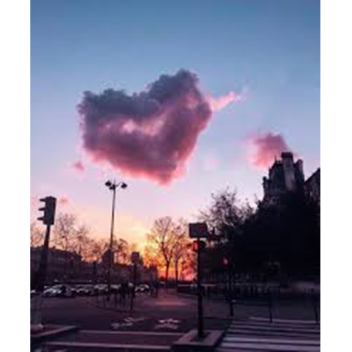 Sunset Markets Interview Center!