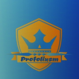 Profolixm Rally Game