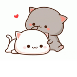 #CATS#