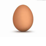 The Egg Army/Group