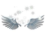 The Sparkling Angle Wings Group
