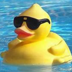 The Great Duck Alliance
