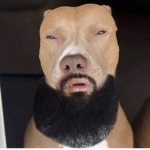 Zucre’s Meme Clothing