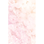 Pink Fl0wers