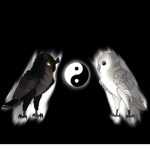The Cold Owls