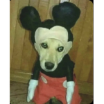 Micky Truco