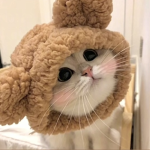 Kittxy </3