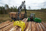 ST Logging