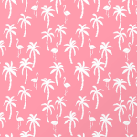 summers closet <3