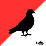 PIGEON Transportation Services