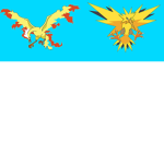 Moltres and zapdos fans here