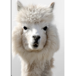 The Lama Club