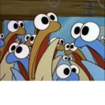anchovy's