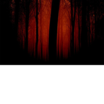 Bloody Productions