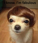 Princessdog002 group