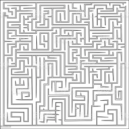 Survive the maze