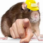 The RATS WILL WIN