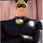 Miraculous chat noir bob