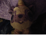Pugacorn's rule!