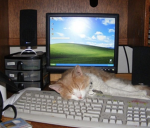 CyberKitties: 2000s frutiger aero