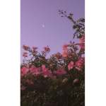 ItsNot_.Darkness
