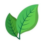 The Leaf Palace