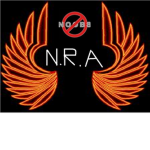N.R.A (National roblox defence)