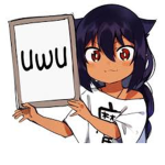 QwQ Wolfie