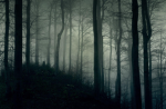 The Incompletes