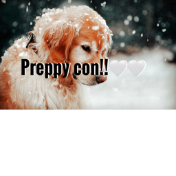 summer preppy con