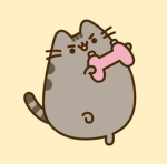 pusheen gang!!!!!!!!!!!!!!!!!!!!!!!!!!!!