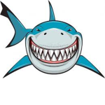 Join sharks