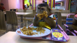 jungle monkey fan club