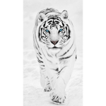 White tiger army!!!
