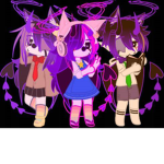 Shadowfox P&M GROUP