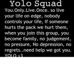 Yolo Squad~