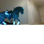 Horse and fun club!