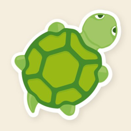 Turtle Hangout