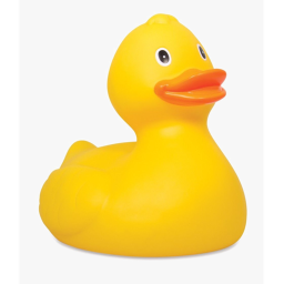 Duckie Hangout!