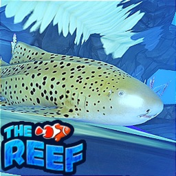 Before game thumbnail