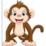 Monkey R