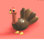 DA TURKEY SQUAD!!