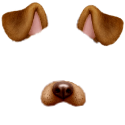 ✭Dog Ears & Nose Filter Roblox decal