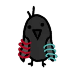 Coil Bird