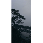 Anternox