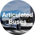 Articulated Buses