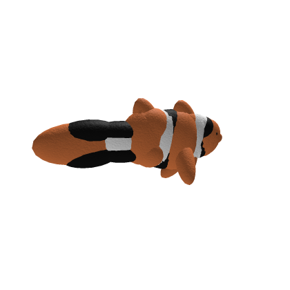 Clown Fish