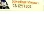 ReportScrew