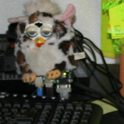 furby run!